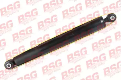 BSG BSG 30-300-026 BSG BSG 30-300-026